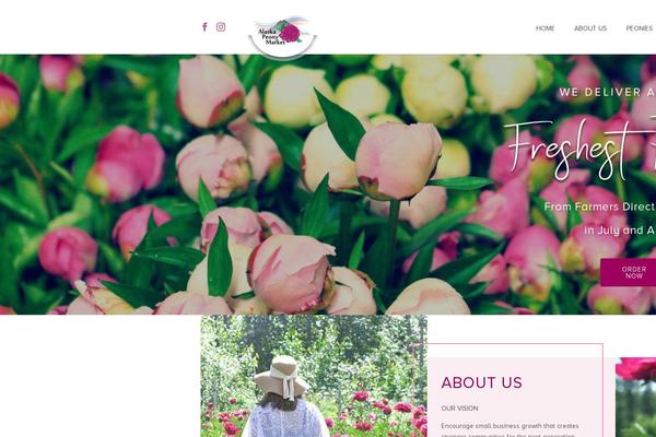 Site using Bloom plugin