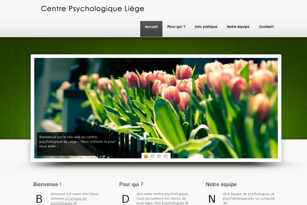 Site using Blog-designer-pro plugin
