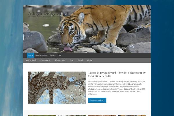 Site using Photonic Gallery for Flickr, Picasa, SmugMug, 500px, Zenfolio and Instagram plugin