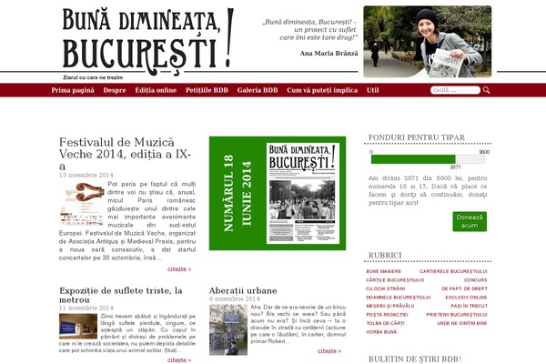 Site using Correct Romanian Diacritics plugin