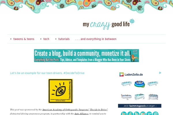 Site using Birdsend-email-marketing plugin
