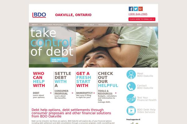 Site using BDO-debt-calculator plugin