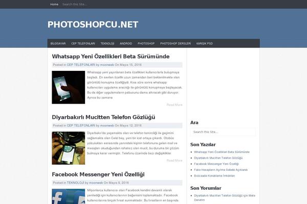 Site using WP Shortcode by MyThemeShop plugin