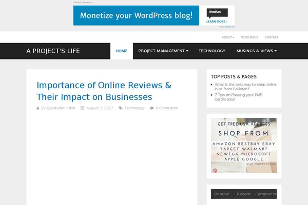 Site using WP Review plugin