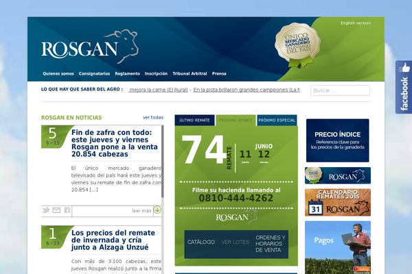 Site using Rosgan-paneles plugin