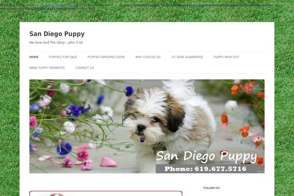 Site using Alpine PhotoTile for Google Plus and Picasa plugin