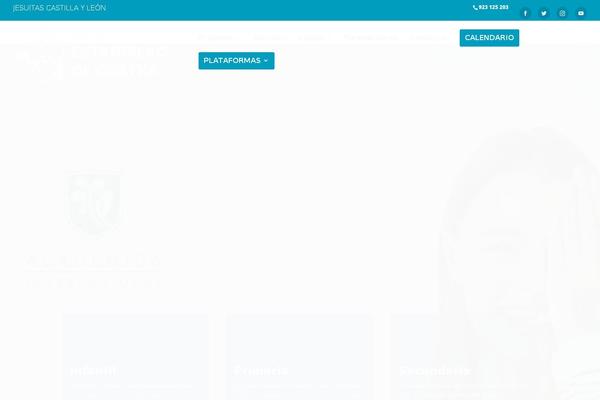 Site using Wp-and-divi-icons plugin