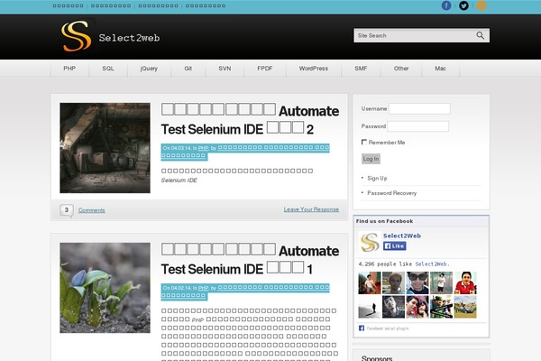 Site using DuracellTomi's Google Tag Manager for WordPress plugin