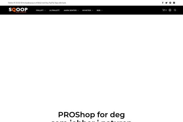 Site using Shopkeeper-portfolio plugin
