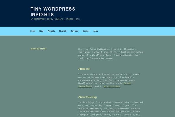 Site using Tinywp-ga plugin