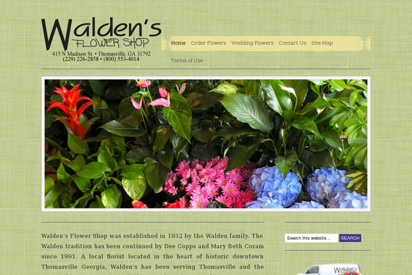 Site using Themedy-visual-designer plugin