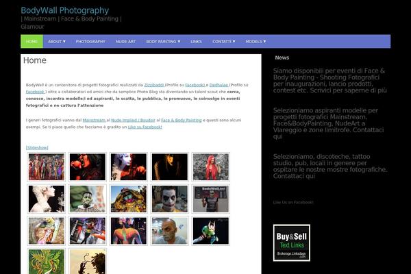 Site using Awesome Flickr Gallery plugin