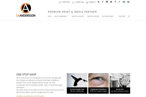 Site using Elegant Themes Icons plugin