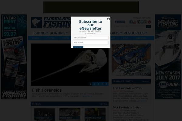 Site using Email newsletter plugin