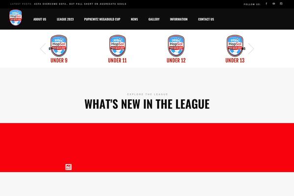 Site using Football-leagues-by-anwppro plugin