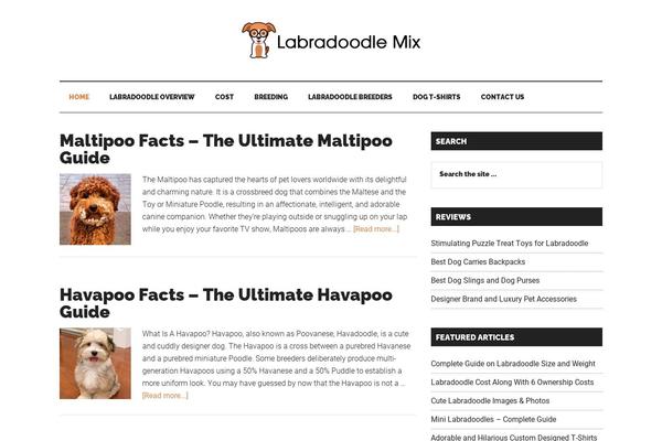Site using Labradoodle-theme-customization plugin