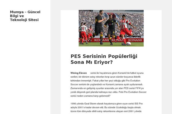 Site using WP PageNavi Style plugin