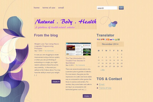 Site using Global Translator plugin