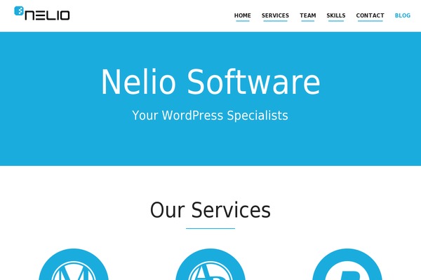 Site using Nelio-forms plugin