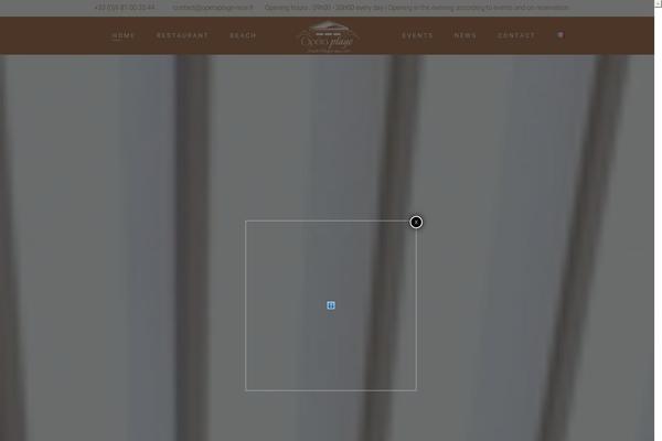Site using Ande-restaurant plugin