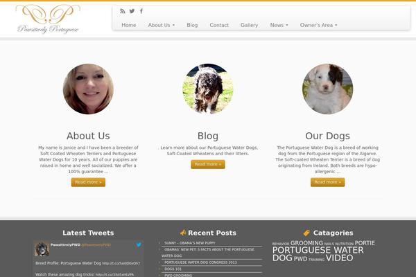 Site using Any User Twitter Feed plugin