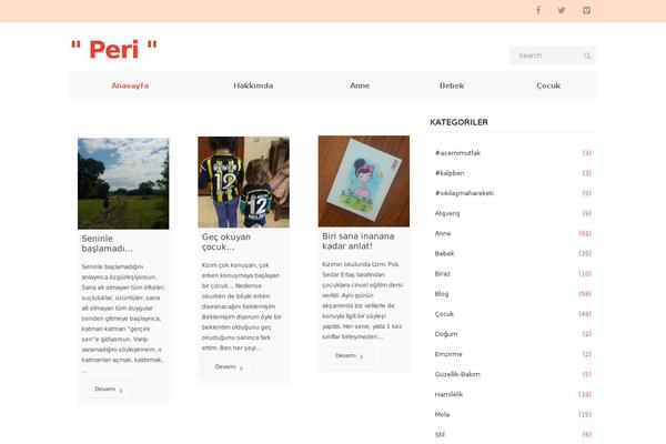Site using Pinterest RSS Widget plugin