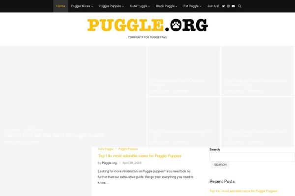 Site using Penci-portfolio plugin