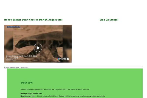 Site using MailChimp Widget plugin